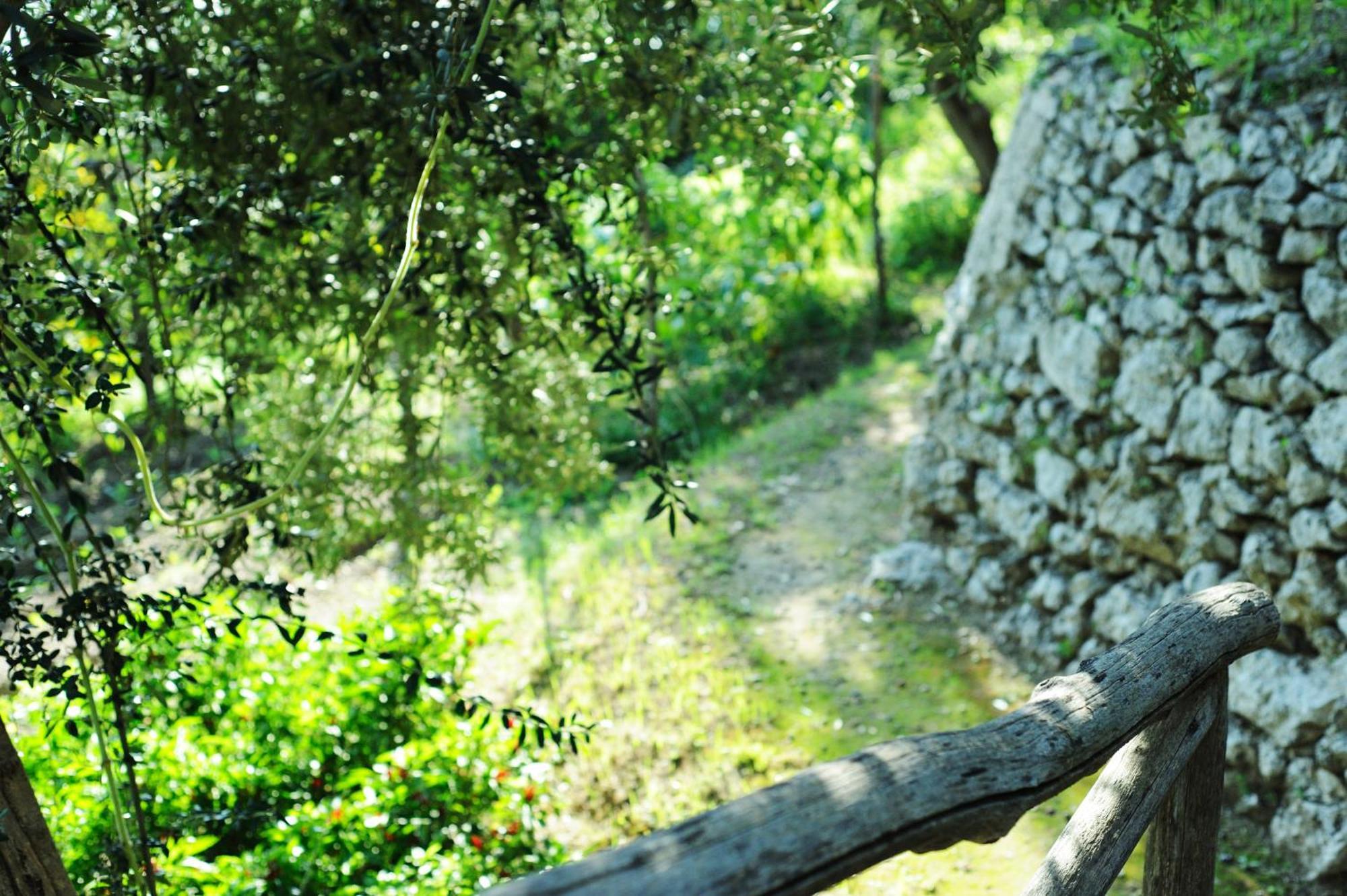 Villa Rina Amalfi Kültér fotó